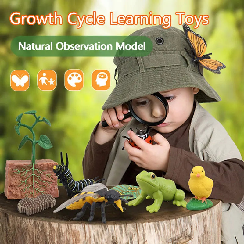 Set Educativo Ciclo di Vita degli Insetti. Gioco Scientifico Montessori per Bambini Curiosi