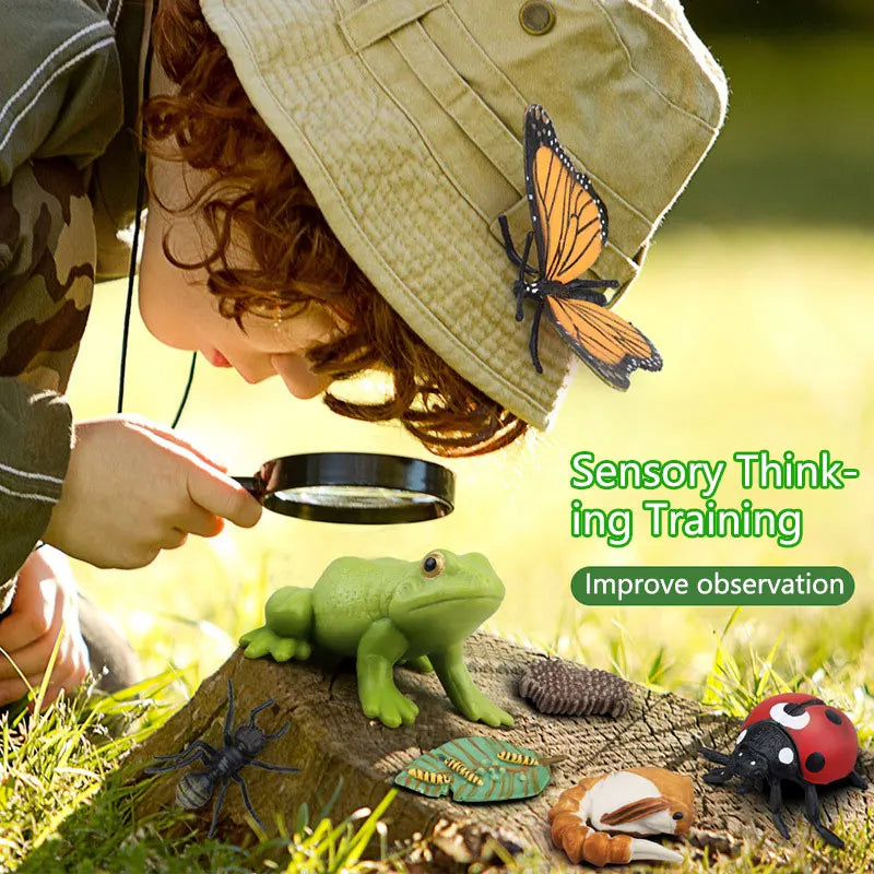 Set Educativo Ciclo di Vita degli Insetti. Gioco Scientifico Montessori per Bambini Curiosi