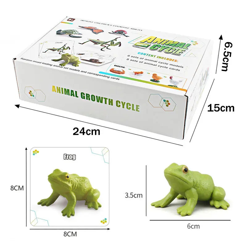 Set Educativo Ciclo di Vita degli Insetti. Gioco Scientifico Montessori per Bambini Curiosi