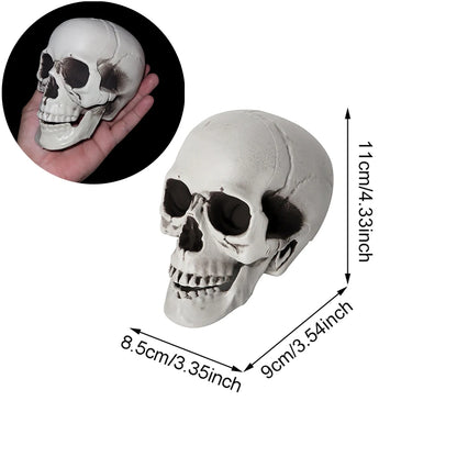 Decorazione Halloween Teschio Realistico per Casa e Giardino