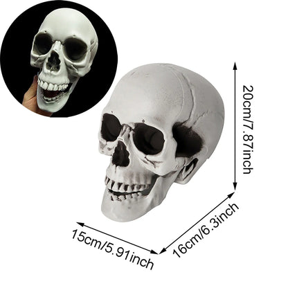 Decorazione Halloween Teschio Realistico per Casa e Giardino